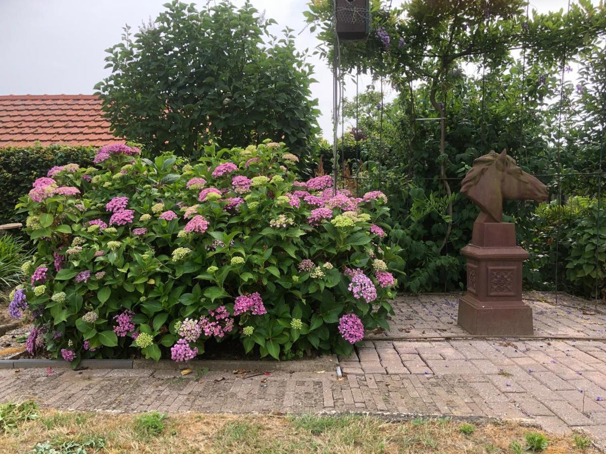 Laaker Villa Nearby Outlet Roermond Ohé en Laak Eksteriør billede