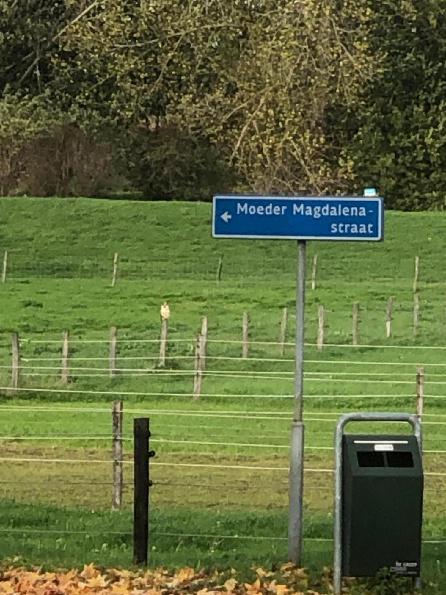 Laaker Villa Nearby Outlet Roermond Ohé en Laak Eksteriør billede