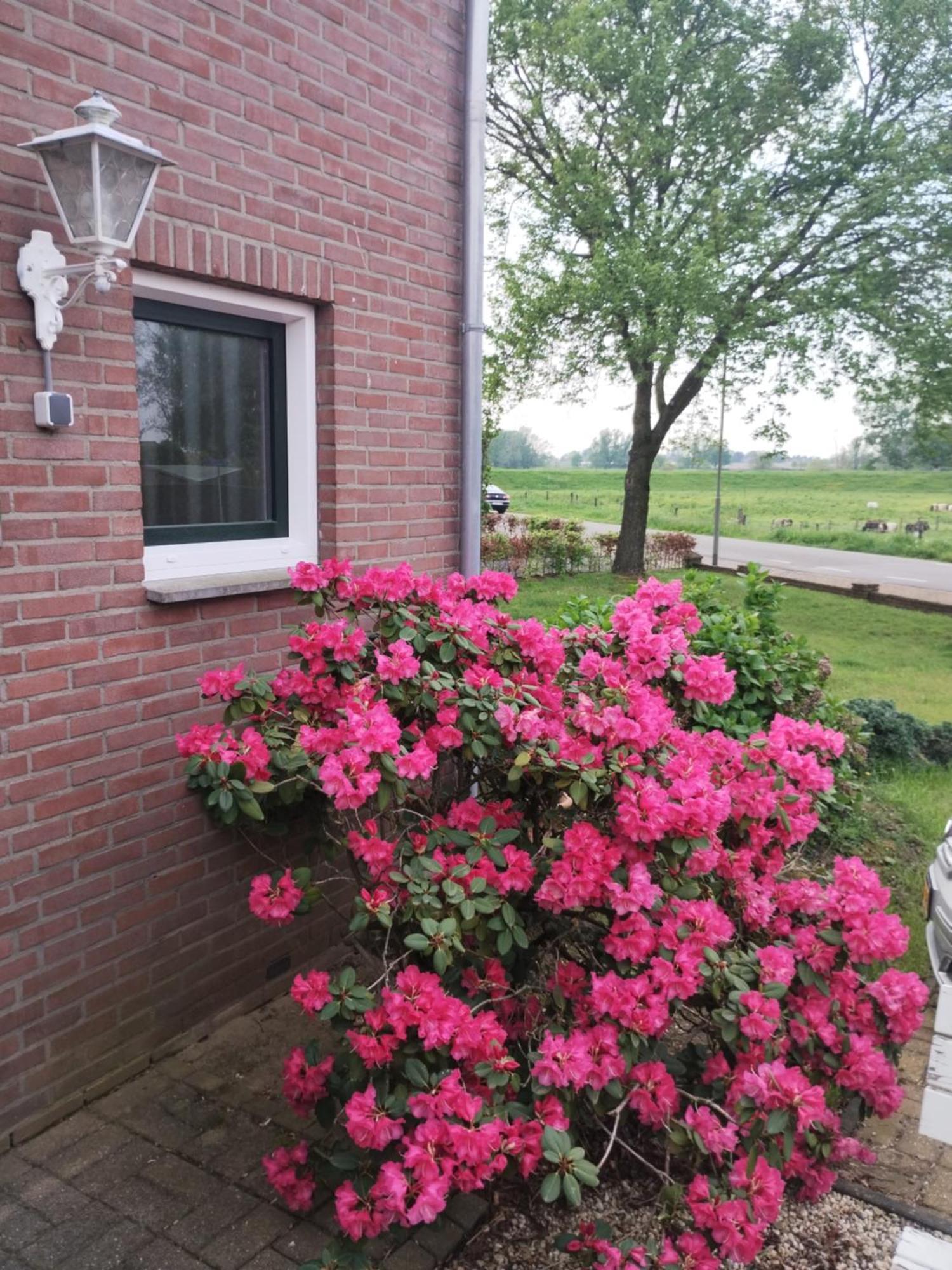 Laaker Villa Nearby Outlet Roermond Ohé en Laak Eksteriør billede